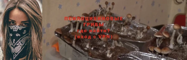 ешки Алексин