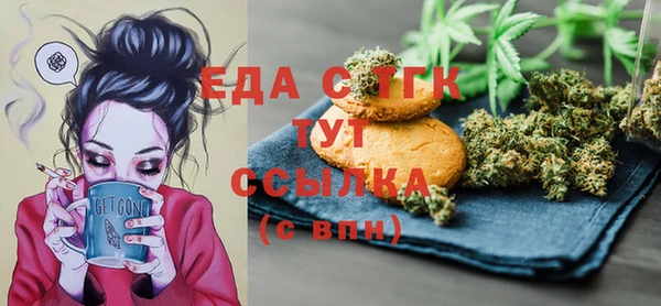 тгк Абаза