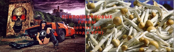 таблы Остров