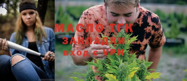 тгк Абаза