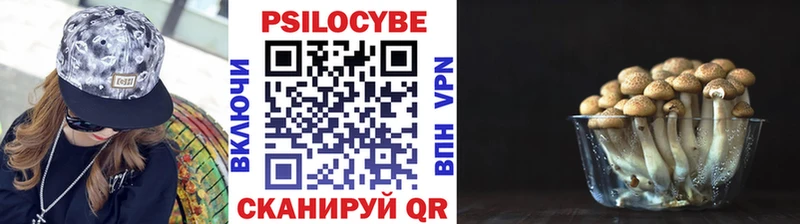 цены наркотик  omg ONION  Галлюциногенные грибы мухоморы  Альметьевск 